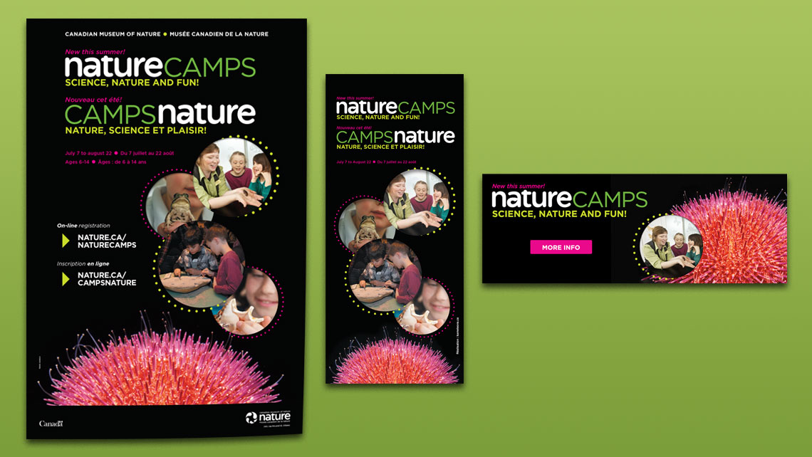 Matériel promotionnel des Camps nature du Musée canadien de la nature comprenant affiche, bannière déroulante et bannière web avec photos d’activités scientifiques et visuel d’oursin coloré.