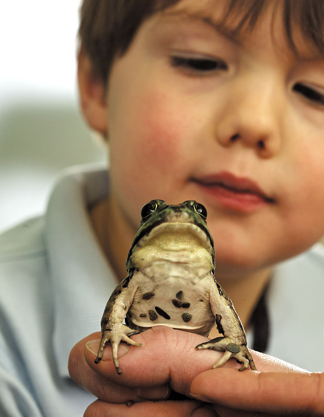 Advertising – Nature Camps